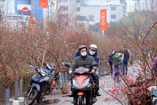 Miền Bắc chuyển rét đậm, rét hại từ nay đến Tết Nguyên đán 2023