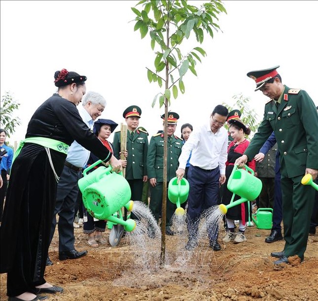 Chủ tịch nước phát động Tết trồng cây nhớ ơn Bác Hồ 