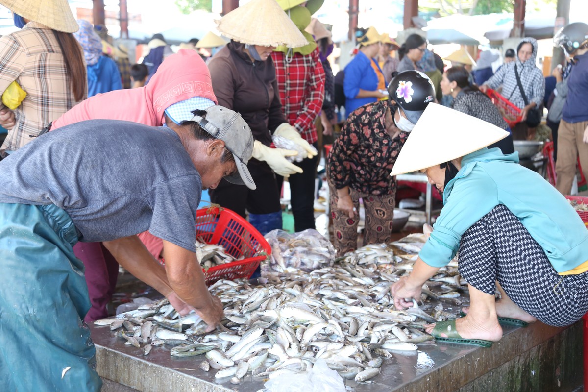 Tàu thuyền đầy ắp 'lộc biển', cảng cá nhộn nhịp mua bán