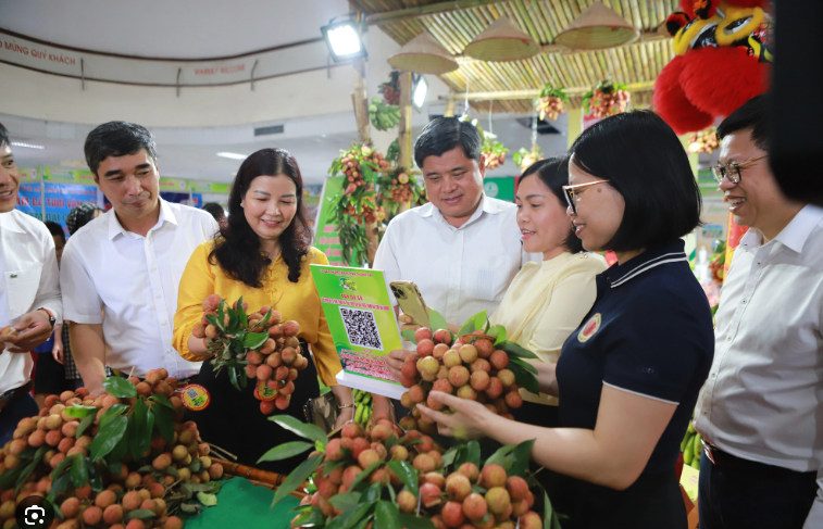 Thanh Hà chuẩn bị các điều kiện phục vụ xúc tiến thương mại vải thiều 2024