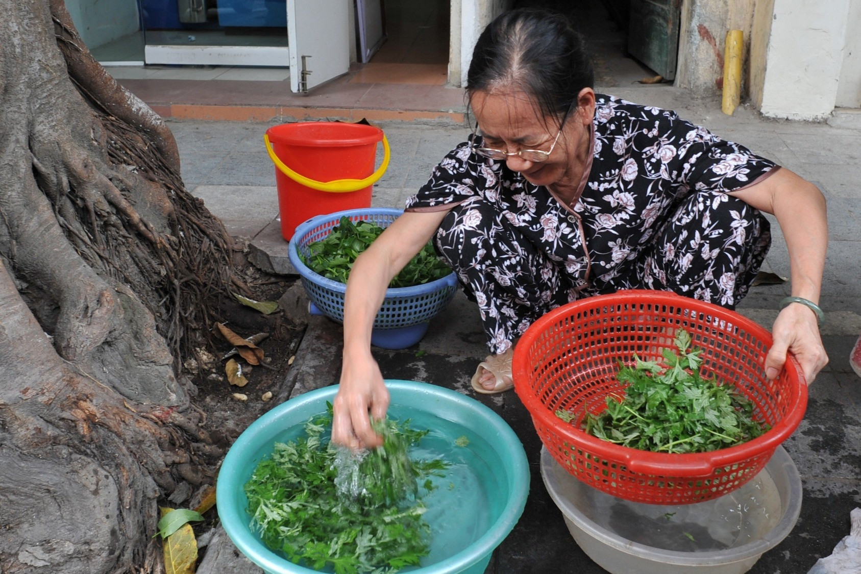 Áp lực từ 'cơn bão dân số già' ở Việt Nam
