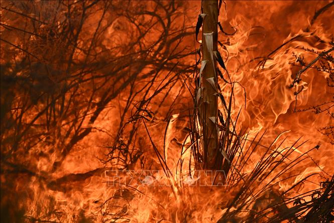 Mỹ: Cháy rừng tiếp tục lan rộng ở California, đe dọa hàng trăm nhà dân