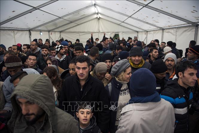 Tổng thống Đức kêu gọi tiêu chuẩn hóa chính sách tị nạn của châu Âu