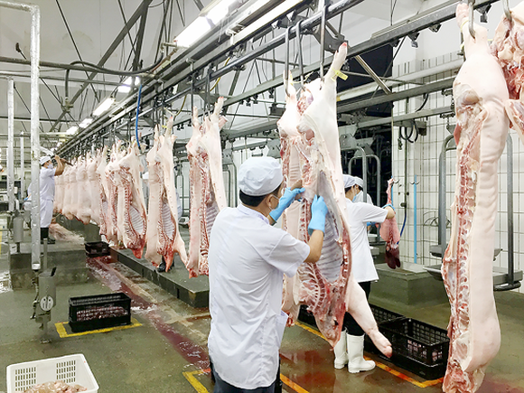 Giá lợn giảm xuống mức kỷ lục, đề xuất siết nhập khẩu thịt ngoại 
