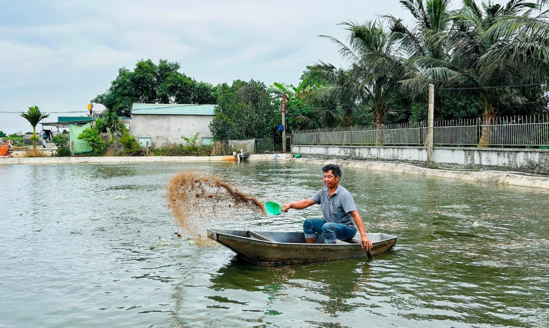 Ninh Giang đầu tư hơn 12 tỷ đồng xây dựng hạ tầng khu nuôi thủy sản tập trung