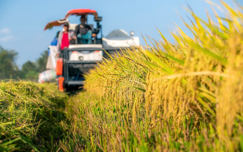 Gỡ rào cản thu hút đầu tư vào nông nghiệp