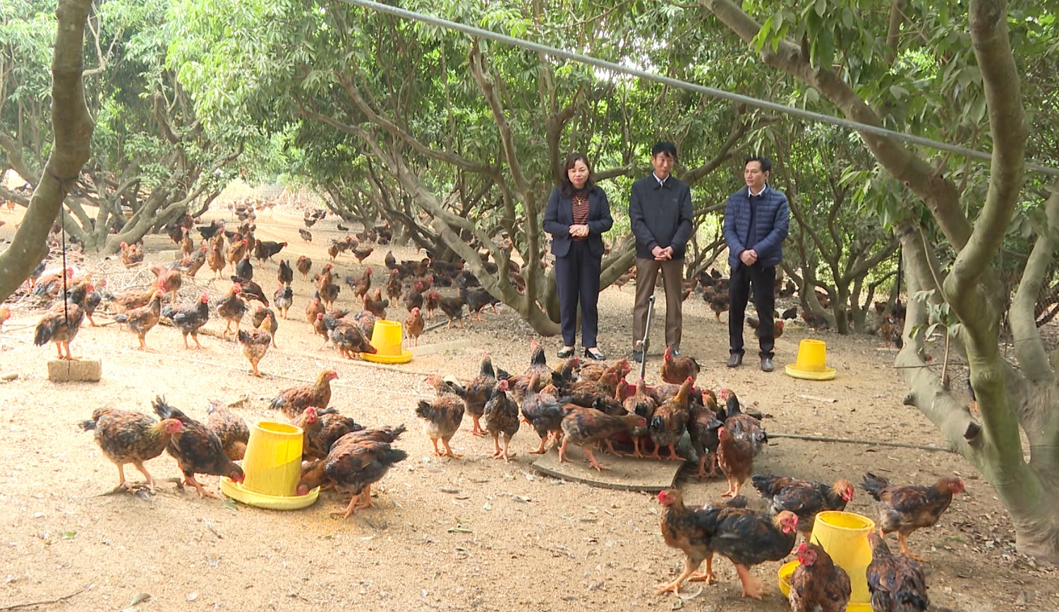 Chuyện tam nông: Tăng cường kiểm soát, phòng chống dịch bệnh đảm bảo an toàn cho đàn vật nuôi