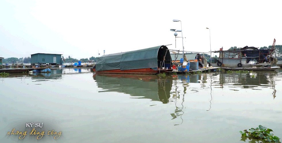 KSNDS: Sông Thái Bình - câu chuyện những làng chài