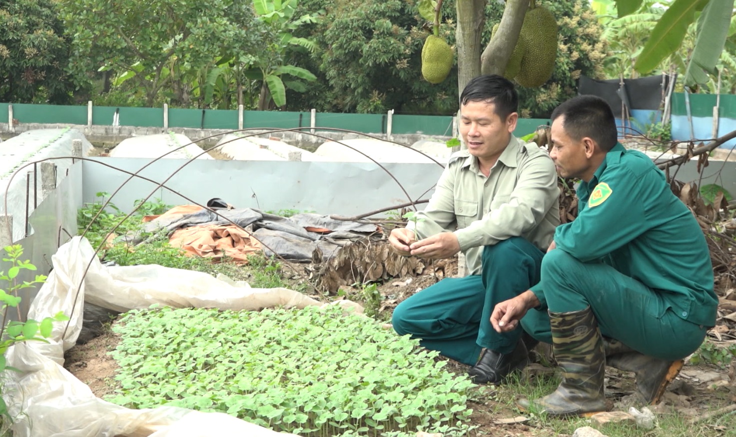 Những chiến sỹ 