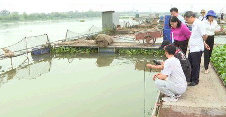 CỤC THUỶ SẢN KIỂM TRA TÌNH HÌNH CÁ CHẾT TẠI LỒNG NUÔI TRÊN SÔNG THÁI BÌNH 