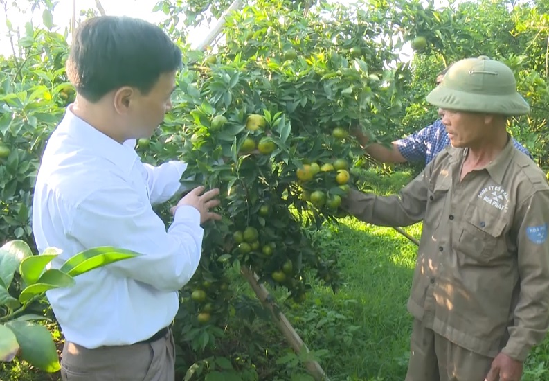 Hồng Phong nỗ lực xây dựng nông thôn mới nâng cao
