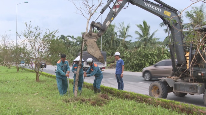 KHẨN TRƯƠNG CỨU, TRỒNG LẠI CÂY XANH NGHIÊNG, ĐỔ DO BÃO