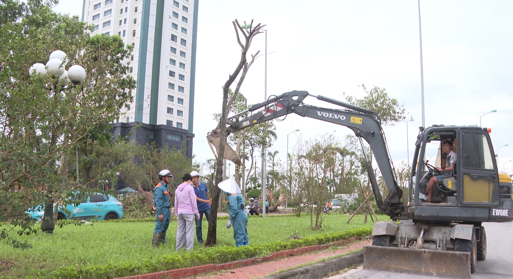 THÀNH ĐÔNG NGÀY MỚI: THÀNH PHỐ HẢI DƯƠNG PHỤC HỒI HỆ THỐNG CÂY XANH ĐÔ THỊ