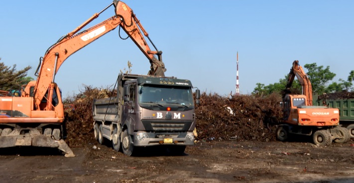 VẬN CHUYỂN CÀNH CÂY TẠI BÃI TẬP KẾT TẠM THỜI ĐI TIÊU HỦY      