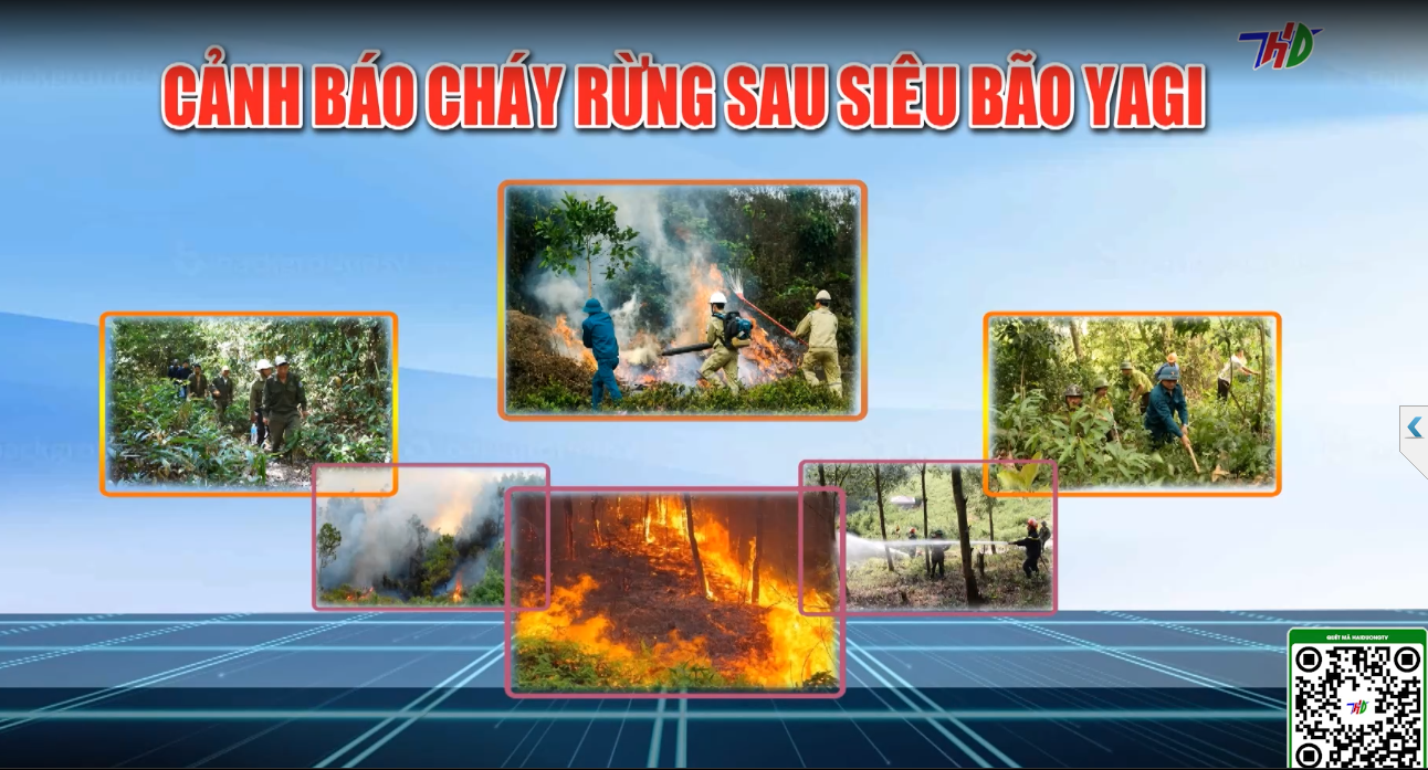 VẤN ĐỀ CÙNG BÀN LUẬN: CẢNH BÁO CHÁY RỪNG SAU SIÊU BÃO YAGI