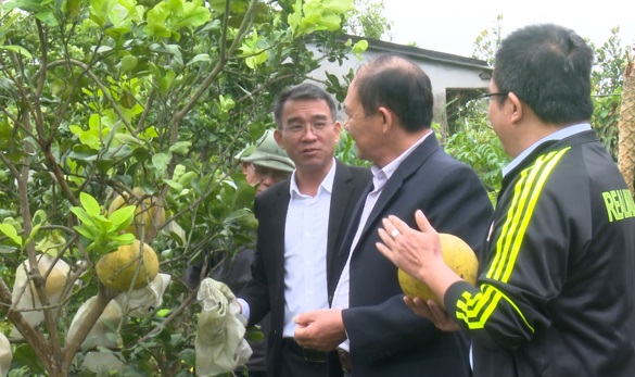 NCNN: Gặp gỡ những nông dân tiêu biểu huyện Kim Thành