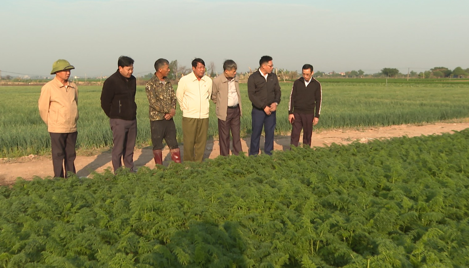 Nhịp cầu nhà nông: Nông dân Nam Sách phát huy hiệu quả mô hình kinh tế tập thể, chi, tổ hội nông dân nghề nghiệp